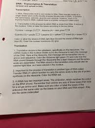 Related posts of transcription and translation worksheet key water water everywhere worksheet answers previous to talking about water water everywhere worksheet answers you need to know that knowledge is definitely all of our step to an improved next week plus. 2 3 145 Class Time Dna Transcription Translation Chegg Com