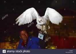 Geburtstag, dass seine verstorbenen eltern mächtige zauberer waren und auch er selbst magische kräfte besitzt. Munchen Deutschland 24 Sep 2016 Schnee Eule Fliegt Hedwig Mit Einem Kindle Ebook Reader Zeigt Dem Cover Des Neuen Harry Potter Buches Harry Potter Und Das Verfluchte Kind Durch Einen Garten In Munchen