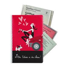 Etui A Papiers De Voiture Decore Design Illustre Voiture Etui Accessoire De Voiture