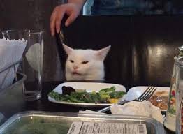 Woman Yelling At A Cat Know Your Meme