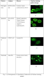 Image result for ANA Staining Pattern