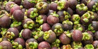 Penelitian ini bertujuan untuk menentukan daya hambat rebusan kulit buah manggis ( garcinia. Cara Mengolah Kulit Manggis Kering Dan Segar Untuk Konsumsi Sehari Hari Merdeka Com