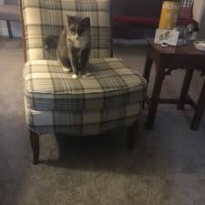 Check spelling or type a new query. New Life Furniture Systems Furniture Reupholstery 1675 E Ayre St Newport De Phone Number
