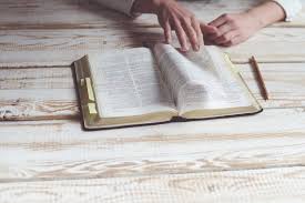 Read and study the official bible translation for catholics. Bible In 360 Challenge Read The Catholic Bible In A Year Elizabeth Clare