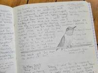 Finding Wonder: Intro to Nature Journaling