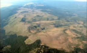 The Neverending Journey Largest Organism On Earth Worlds Largest Earth World