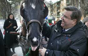 Importé à partir des années 1960, il est issu. L Annee Du Cheval Canadien Le Devoir