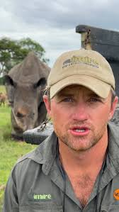 Today I've got a really tall story to share with you! 🦒🌿