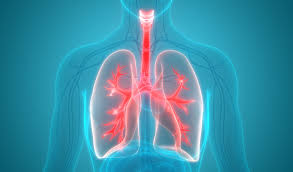 Different people have different symptoms for lung cancer. 12 Essential Lung Cancer Facts Cleveland Clinic Abu Dhabi