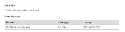 Local State Elections Officials Dispel Misinformation About Virginia Ballots Not Counting 8news