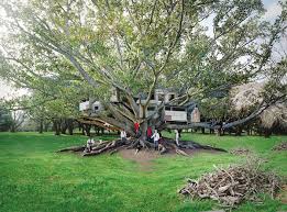 Bildergebnis für Anthony Goicolea