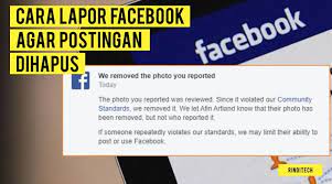 Cara menggunakan fitur kelola postingan untuk menghapus semua status di facebook. Cara Melaporkan Postingan Facebook Agar Dihapus Rindi Tech