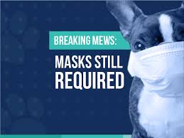 Farrell animal hospital is proud to be one of the few hospitals in tarrant county that adheres to the strict standards of the american animal hospital association. Farrell Animal Hospital Startseite Facebook