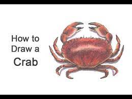Most types of crabs live in the sea. How To Draw A Crab Youtube