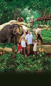 From wikipedia, the free encyclopedia. Singapore Zoo River Safari Night Safari Bird Park Entertainment Attractions On Carousell