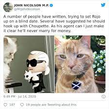 I Apologize For My Cat S Tail Scottish Mp Goes Viral After His Cat Photobombs A Zoom Meeting Bored Panda Cats Cat Tail Cat S