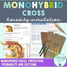 Some of the worksheets displayed are work monohybrid crosses, practice with monohybrid punnett squares, punnett squares dihybrid crosses, punnett squares answer key, genetics work, amoeba sisters. Monohybrid Crosses Worksheets Teaching Resources Tpt