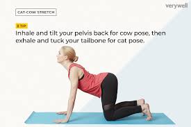 10 Poses To Help You Warm Up For Yoga Essential Yoga Poses Yoga Poses For Beginners Yoga For Beginners
