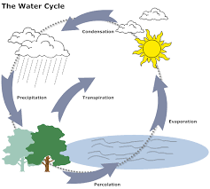 Example Image Water Cycle Diagram Water Cycle Diagram
