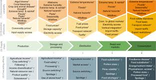 24 posts related to supply chain assessment example. Towards Food Supply Chain Resilience To Environmental Shocks Nature Food