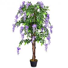 Caricato alle 21 aprile 2019. Costway Albero Glicine Artificiale Fiori Pianta Decorativa In Vaso Da Arredo Interno Viola 150cm Costway