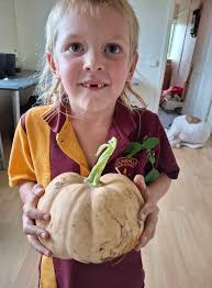 My pumpkin I grew from a seed I kept two years to dry, and now
