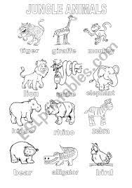 Here is jungle coloring pages collection for you. Jungle Animals Coloring Sheet Esl Worksheet By Shannoncronin