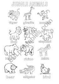 Each printable highlights a word that starts. Jungle Animals Coloring Sheet Esl Worksheet By Shannoncronin