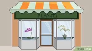 Tile leaks can be identified by staining on the fascia, visible rotten fascia, or visible rotten plywood from inside the attic. How To Choose An Orchid Plant With Pictures Wikihow