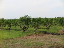 Aplikasi jumlah pelawat ini hanya dipaparkan untuk pengurus laman bagi tujuan mengubah configurasi. 11 Pusat Pelancongan Agro Popular Di Malaysia Sesuai Untuk Keluarga Berlibur Libur