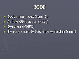 Image result for BODE Index