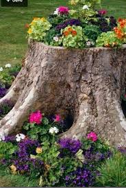 Ein sehr schöner holunder stamm mit schönen verästelungen. Baumstamm Dekorieren Garten Reizend Pin Von Nicole Verbeek Auf Garten Garten Anlegen