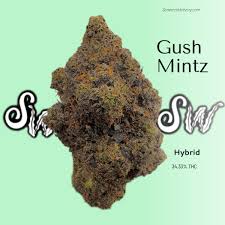 Elevate Your Experience with Gush Mintz Weed Strain: Exotic Indica Hybrid 