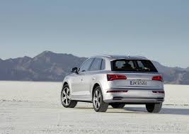 Image result for Florett Silver 2017 Q5