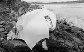survivors of the wahine disaster tell