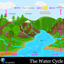 The Water Cycle Kidspressmagazine Com Water Cycle Water Cycle Project Cycle