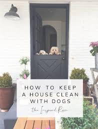 How to keep outdoor rug clean. New Indoor Outdoor Rug In The Entry The Inspired Room