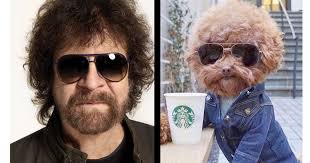 Jeff Lynne's Estranged Dog Arrested For Identity Theft