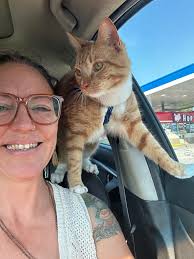 Just thinking about phone charging while camping. I'm doing it over 6 days.  I will be bringing a power bank anyway but may be handy to top it up at  some point.