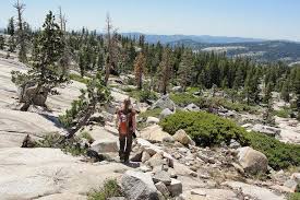 Our members favorite in california is yosemite national park and yellowstone national park is the top pick in united states. Tahoe Parks 10best Park Reviews