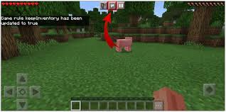 Game rules can change many aspects of the game including keep inventory,. How To Keep Inventory When You Die In Minecraft