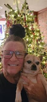 Glucose mixture for pets: recipe and tips