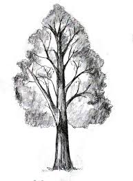 How To Draw A Tree Happy Family Art Tree Drawings Pencil Tree Drawing Trees Drawing Tutorial