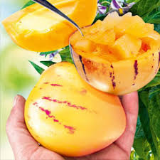 Das wirkt sich negativ auf konsistenz und geschmack aus. Obst Obstpflanzen Online Kaufen Bestellen Bei Baldur Garten