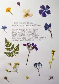 To see a world in a grain of sand and heaven in a wild flower hold infinity in the palm of your hand and eternity in an hour. There Is Hope Wild Flower Quotes Flower Quotes Words Quotes
