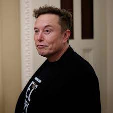 Musk plans to double DOGE staff amid federal government cuts