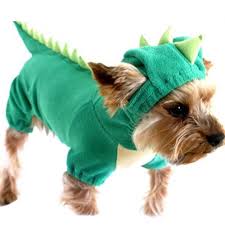 Dog T Rex Dinosaur Costume Dog Dinosaur Costume Pet Halloween Costumes Dog Costumes Funny