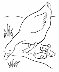 Bluebonkers Free Printable Easter Geese Coloring Page Sheets 21 Easter Mother Goose And Her Ba Animal Coloring Pages Coloring Pages Camping Coloring Pages