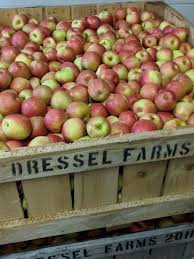 Picking baskets are still available upon entry at $1.00. All The Hudson Valley Farms To Visit In Every Season Of The Year
