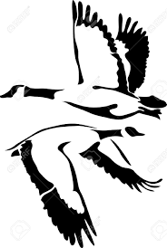 Black And White Goose Silhouette Canadian Goose Goose Drawing Goose Tattoo Silhouette Stencil